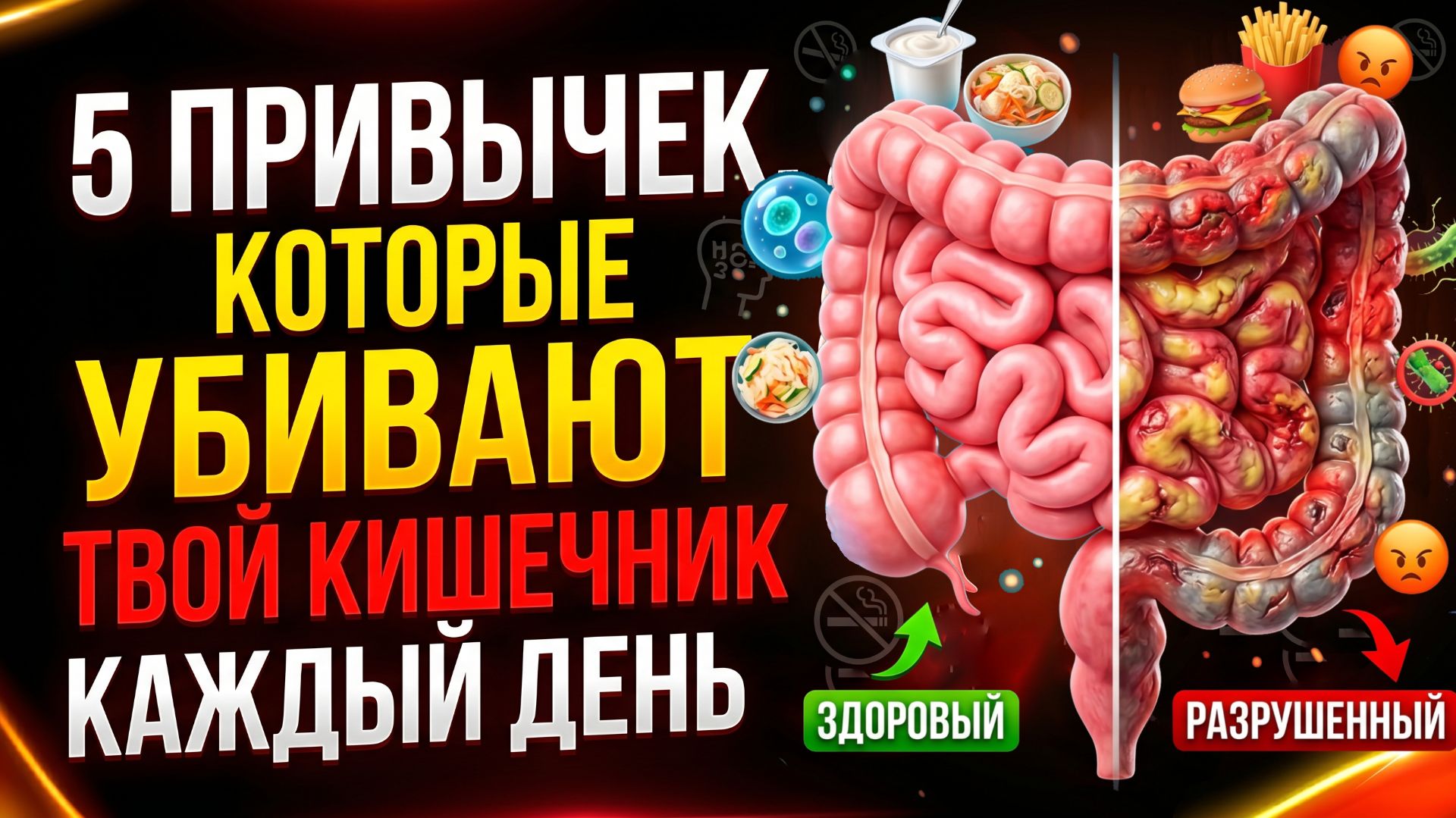 ТВОЁ ЗДОРОВЬЕ НАЧИНАЕТСЯ В КИШЕЧНИКЕ! 5 ПРИВЫЧЕК, КОТОРЫЕ ЕГО УБИВАЮТ