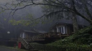 Дождь для сна: засыпай легко