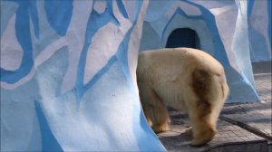 Кай был на даче и чувствовал запах Герды, потом пошёл к себе завтракать 17.04.2026