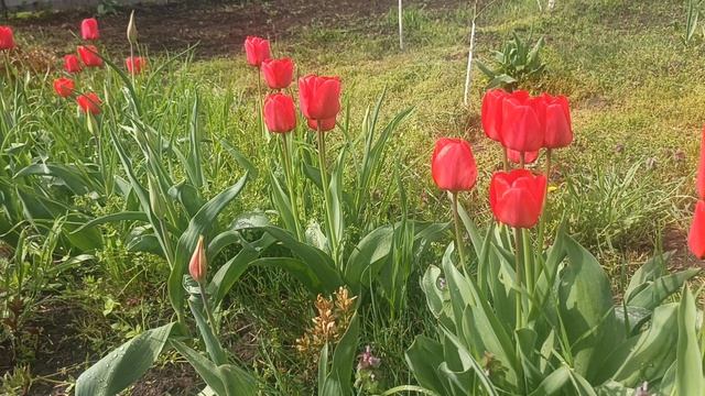 20 Апреля 2026 г.Ростов на Дону