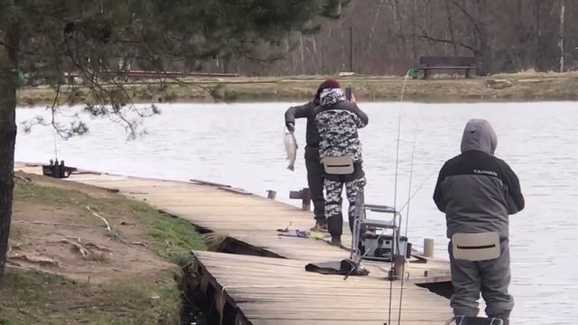 поимка форели на спиннинг