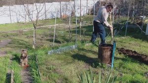 Идёт посадка цветов,зелени.Привезли веер Японский и картины.Варим креветки.