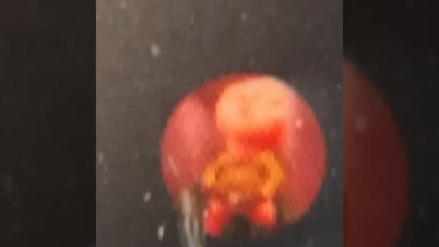 оцениваю авы подписчиков