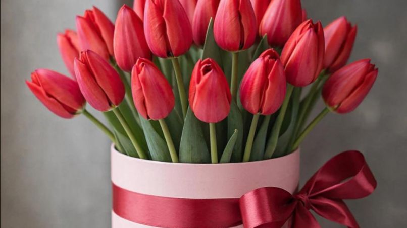 С днём рождения женщине: музыкальная открытка и видео поздравление | Домохозяйка