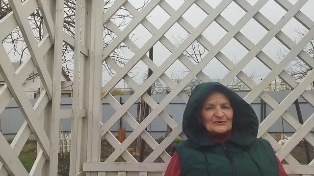 В саду они повсюду. Вечная борьба.