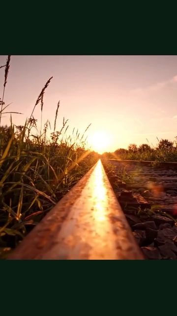 #рельсы #железнаядорога #инфраструктура #поезд #потомственныйпроводник #пейзаж