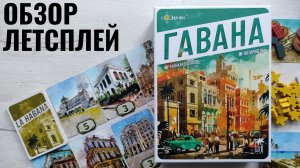 Гавана 🦊 играем в настольную игру