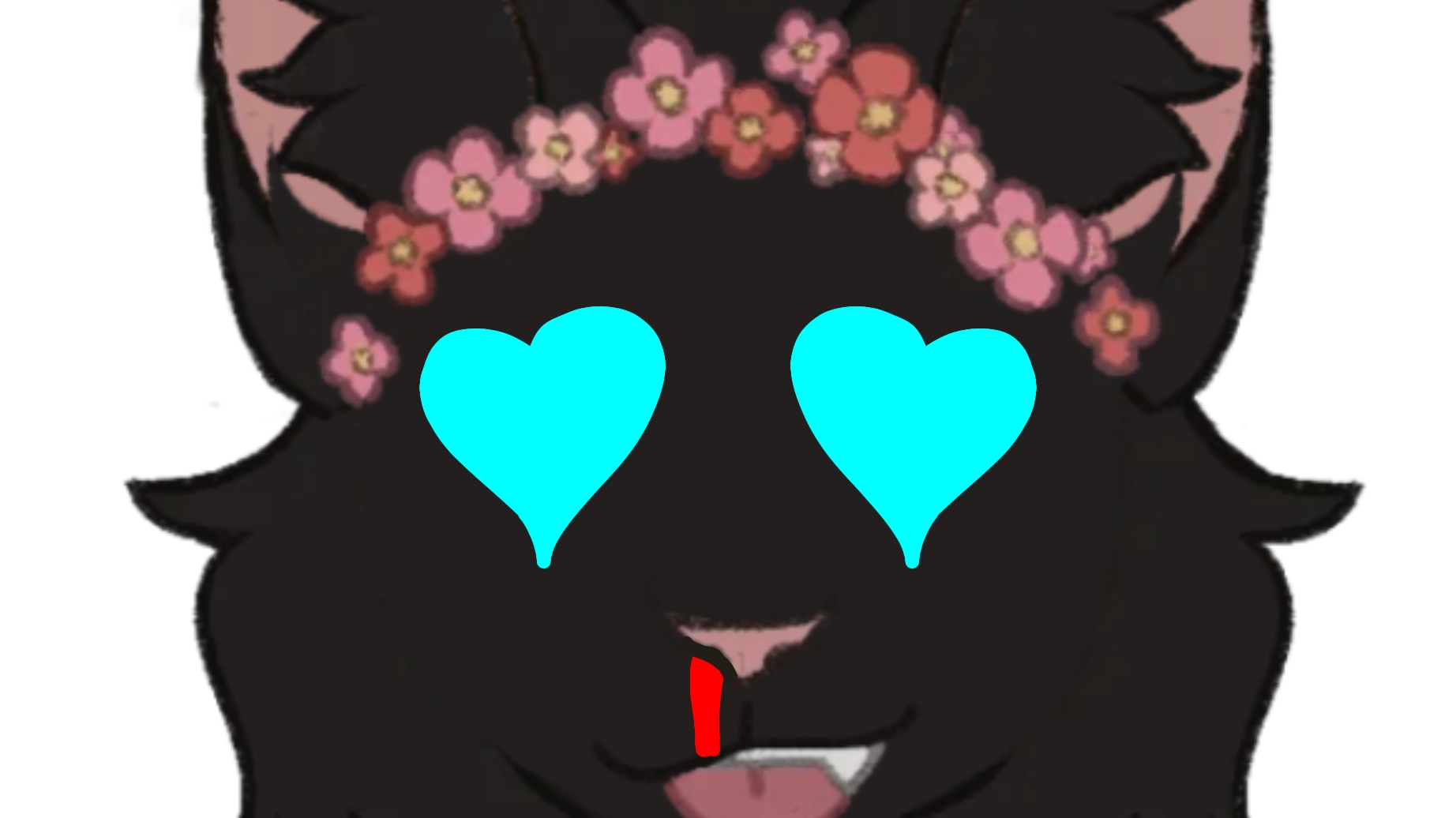 что я сделала апхпхпхпхахпахапх