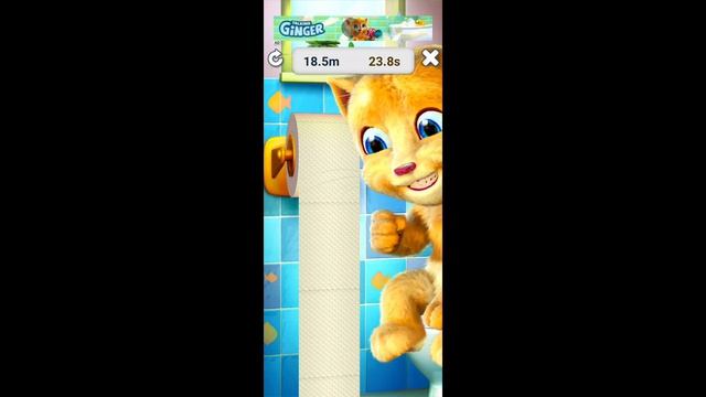 факты о ДЖИНЖЕРЕ