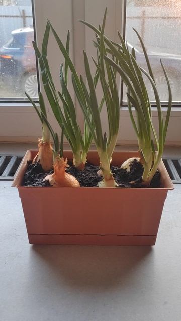 Наша миссия: 