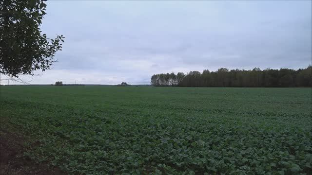 ОХОТА НА КОПЫТНЫХ, УДАЧНОЕ ОТКРЫТИЕ