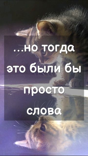 Мы вернулись #близнецовыепламена