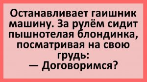 Блондинка, показывая грудь гаишнику: договоримся?... Анекдоты смешные до слез!