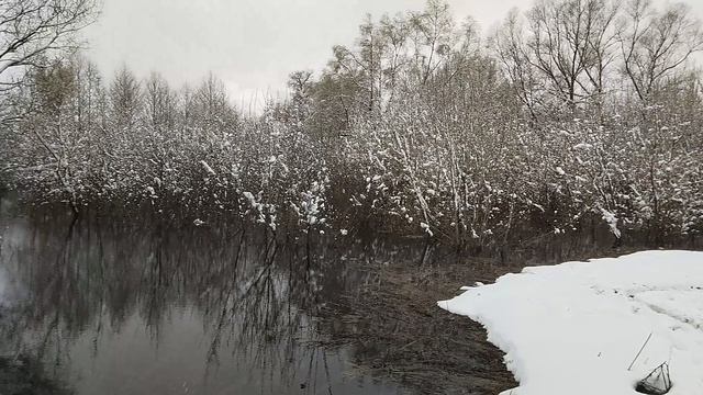 Кругом вода и.... снег 20.04.2026г.18ч30 мин.