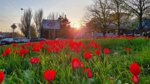 УТРЕННЯЯ ПОЧТА! ТУАПСЕ! ВАСЕВСКИЙ-КОНЬЯК С УТРА СИЛЬНО!
