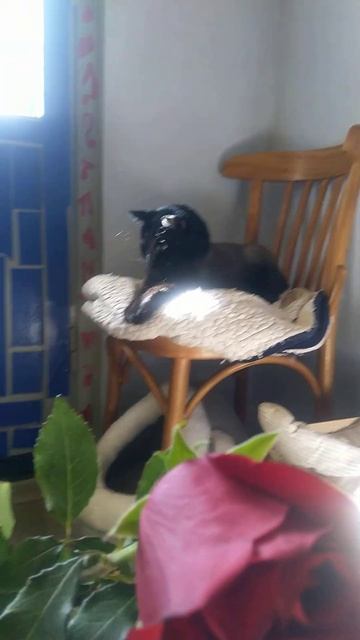 Замерла, но держит под контролем