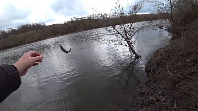 Первая весенняя рыбалка на реке __ Голавль на микроджиг в апреле __ где искать и как поймать