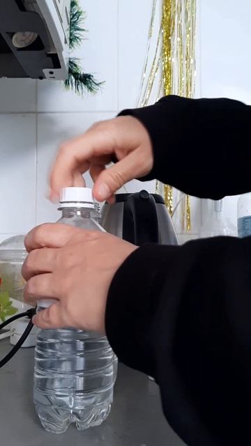 МОЯ ПРОСТАЯ ЖИЗНЬ. ДЕНЬ 42