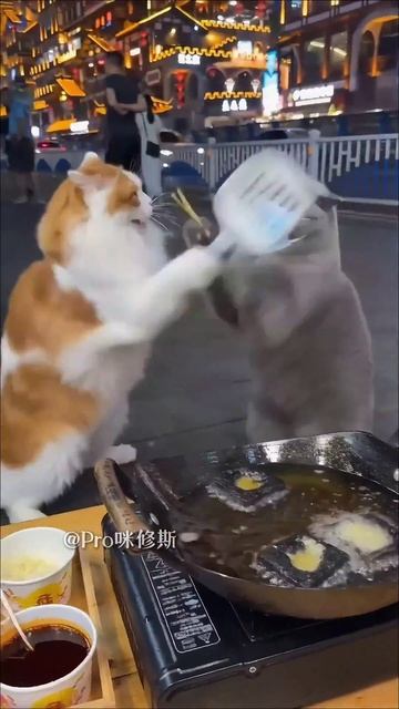 КОТИК ПОВАР АЗИАТСКАЯ КУХНЯ нейросеть