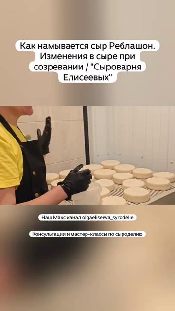Как намывается сыр Реблашон. Изменения в сыре при созревании / 