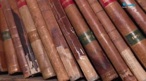 Одна из старейших в своей отрасли: отправляемся в библиотеку ЛЭТИ