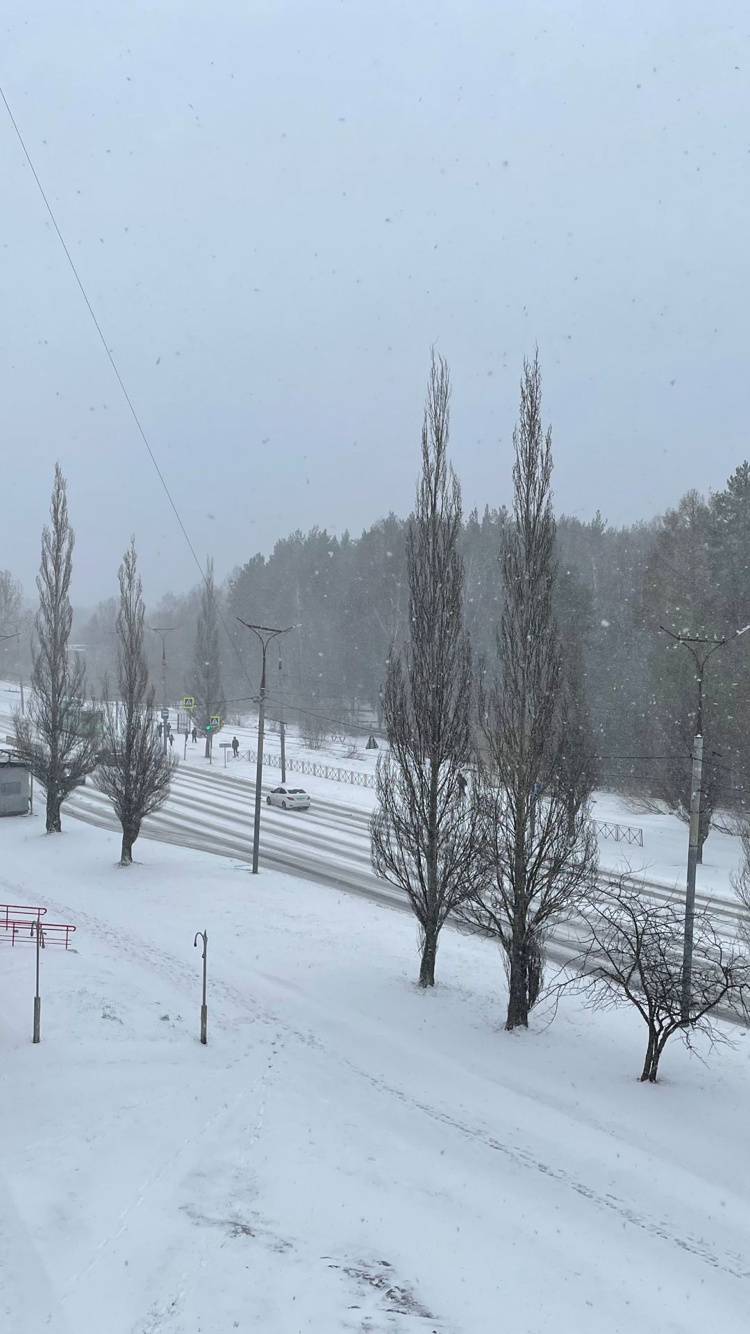 Вернулась зима – 20 апреля 2026