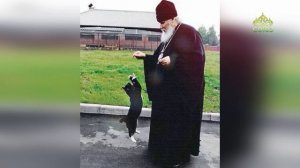 «Лерический герой». Церковные коты