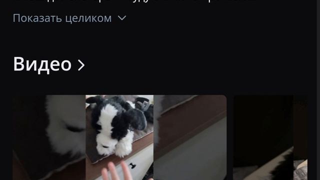 ДЛЯ ДОГЛАЙФ