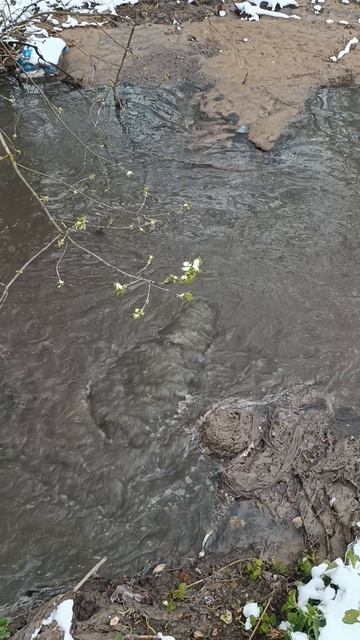 химическая катастрофа