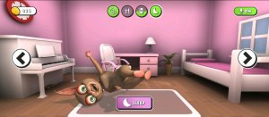 Вопросы подписчиков