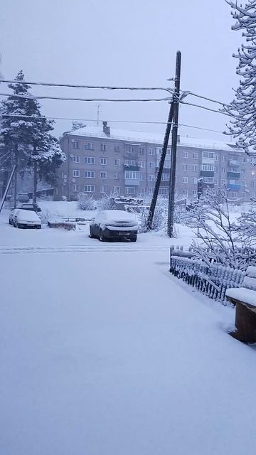 Из подъезда в выпавший снег.5 часов утра 20 апреля 2026г.