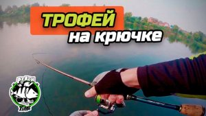 ТРОФЕЙ НА КРЮЧКЕ💪🏻 Ловим окуня на HANDMADE-БЛЁСНЫ👌 #рыбалка #блесны #окунь #ультралайт #maximus