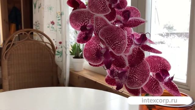 Декоративная ветка искусственная ОРХИДЕЯ, полиэстер, розовый, 77 см, 800904