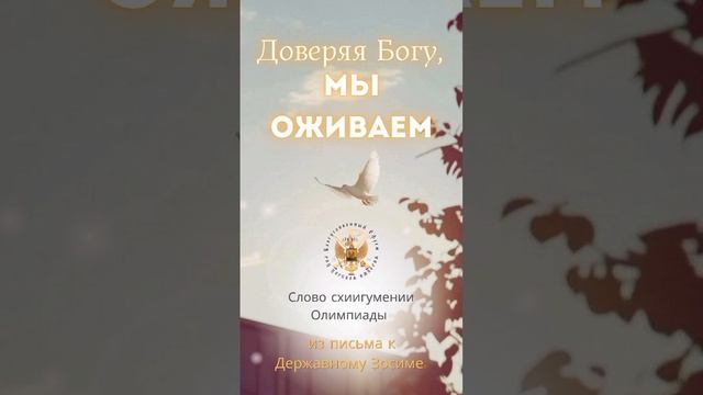 Доверяя Богу, мы оживаем.
Слово схиигумении Олимпиады из письма к Державному Зосиме.