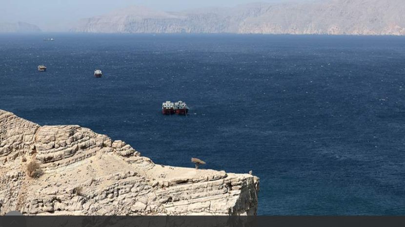 Аналитик спрогнозировал долгосрочное влияние перекрытия Ормуза на экономику ЕС