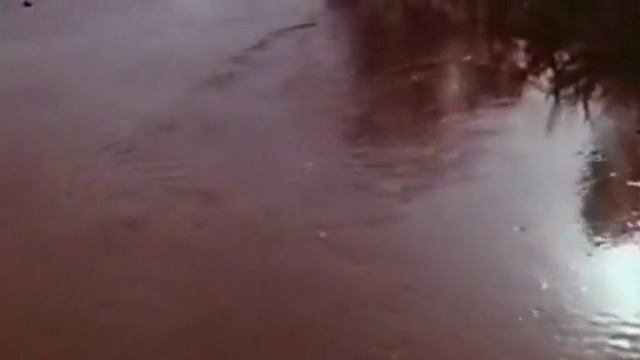 Наталья ГОЛОВКО и Тимофей Спивак  (Моя любовь на 3-курсе 1976)