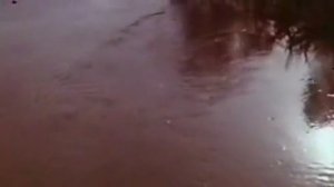 Наталья ГОЛОВКО и Тимофей Спивак  (Моя любовь на 3-курсе 1976)
