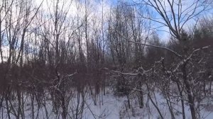 ЗАКРЫТИЕ ЗАГОННОЙ ОХОТЫ