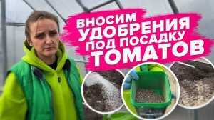 ЧТО ВНЕСТИ В ГРЯДКУ ПОД ТОМАТЫ
