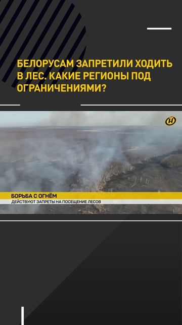 Белорусам запретили ходить в лес. Какие регионы под ограничениями?