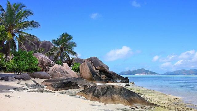 Сатсанг √134, Роберт Адамс.