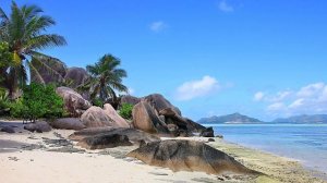 Сатсанг √134, Роберт Адамс.