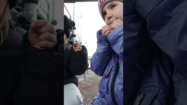 пробую вкусняшки