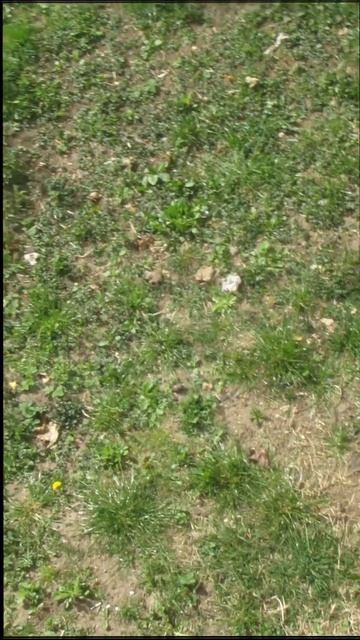 В ожидании еды..