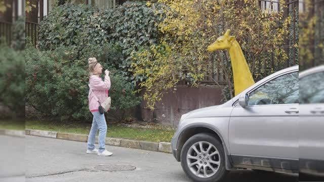 🍂ЯРКИЕ КРАСКИ ПРИРОДЫ. АДЛЕР 2025. ФОТОДНЕВНИК ЧАСТЬ 17. ФОТО СЛАЙД-ШОУ. 24 НОЯБРЯ 2025 ГОДА