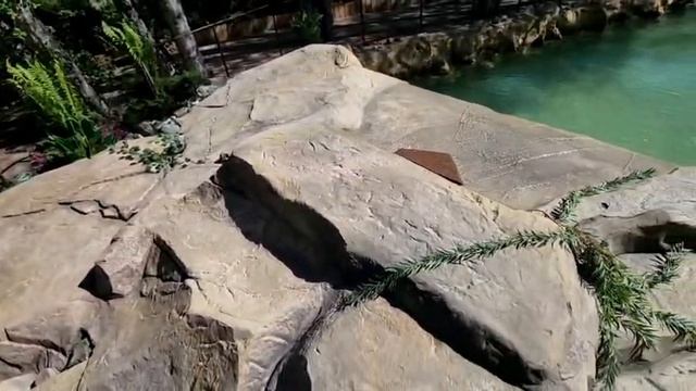 Искусственные пруды - строительство прудов