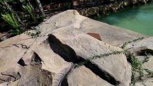 Искусственные пруды - строительство прудов