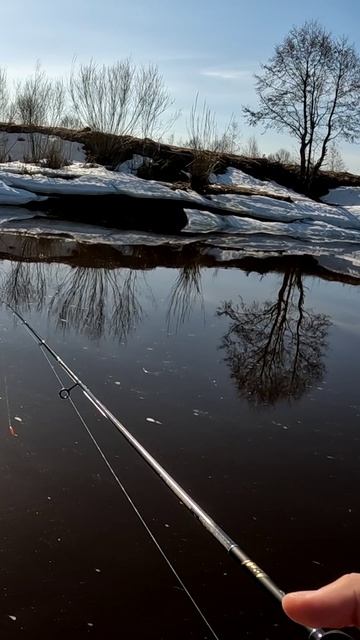 Весенняя рыбалка в кайф