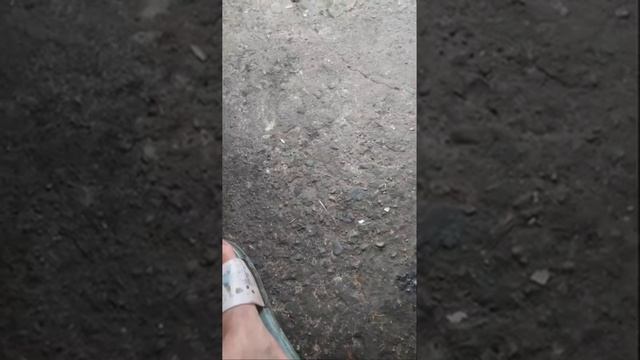 Правда про серьги Аня и Алеут продолжают лить грязь и уезжают из насижиного места