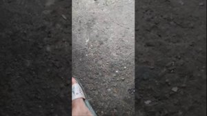 Правда про серьги Аня и Алеут продолжают лить грязь и уезжают из насижиного места